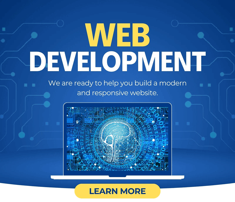 infographic on web development